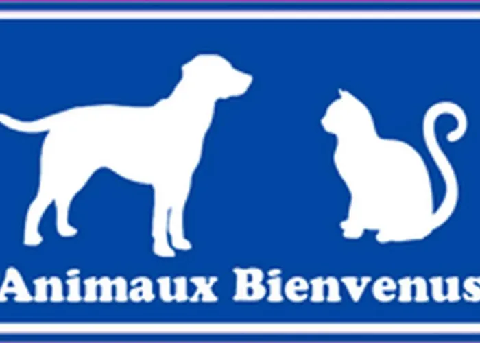 Coup De Coeur Pour Ce Cosy T2 Avec Vue Imprenable Sur La - 4gsud101 * Canet-en-Roussillon